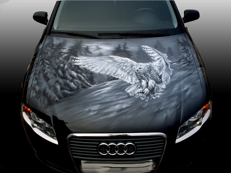 Сова охотится изображение на авто на капот