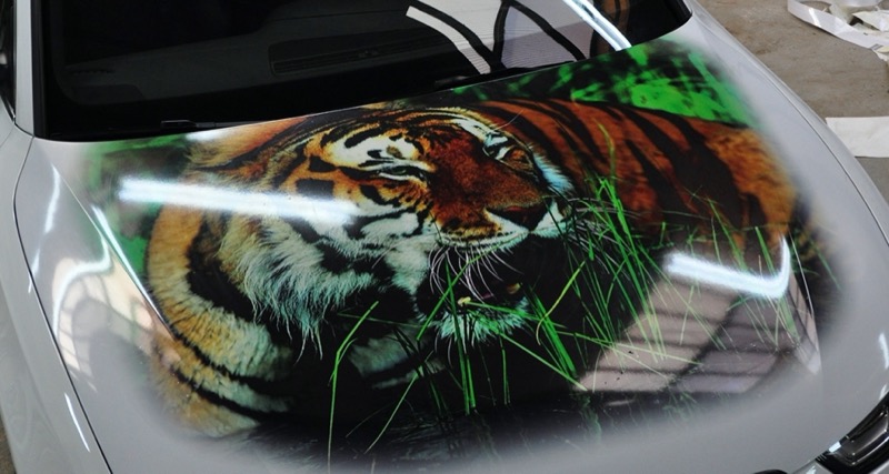 Аэрография тигра на капот