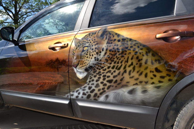 Изображение гепарда на машину аэрография винилография наклейки